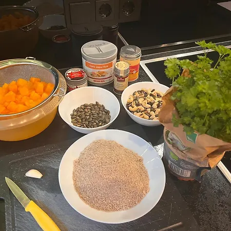 Designhotel 호텔 *